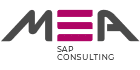 MSA SAP Consulting - MSA GmbH