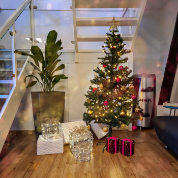 MSA Weihnachtsevent 2023 - Weihnachtsbaum im Büro